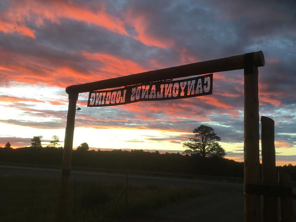 Lupine Cabin, Glamour Camping, Stunning Skies And Sunrise Views Monticello Exterior photo